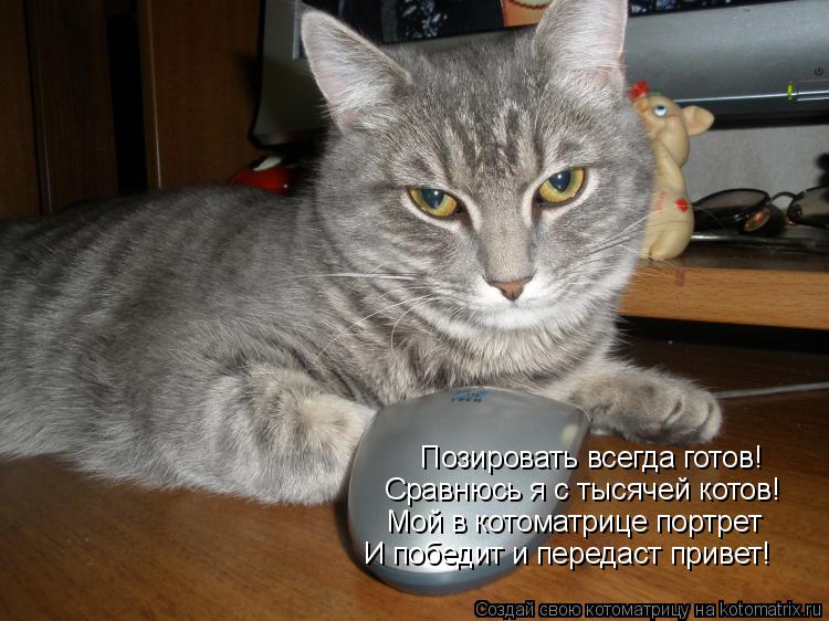 Позировать всегда готов! Сравнюсь я с тысячей котов! Мой в котоматрице портрет И победит и передаст ... Котоматрица: Позировать всегда готов! Сравнюсь я с тысячей котов! Мой в котоматрице портрет И победит и передаст привет!