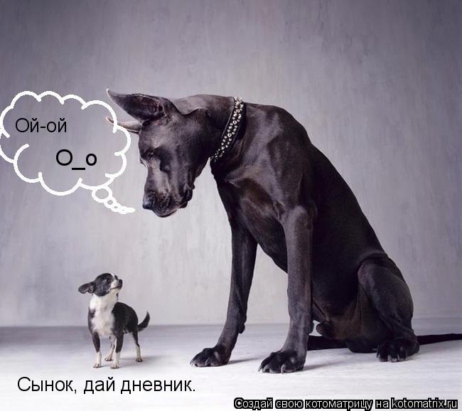 Сынок, дай дневник. Ой-ой О_о... Котоматрица: Сынок, дай дневник. Ой-ой О_о