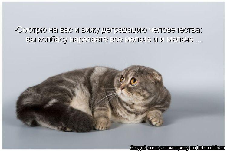 вы колбасу нарезаете все мельче и и мельче.... -Смотрю на вас и вижу деградацию человечества:... Котоматрица: вы колбасу нарезаете все мельче и и мельче.... -Смотрю на вас и вижу деградацию человечества: