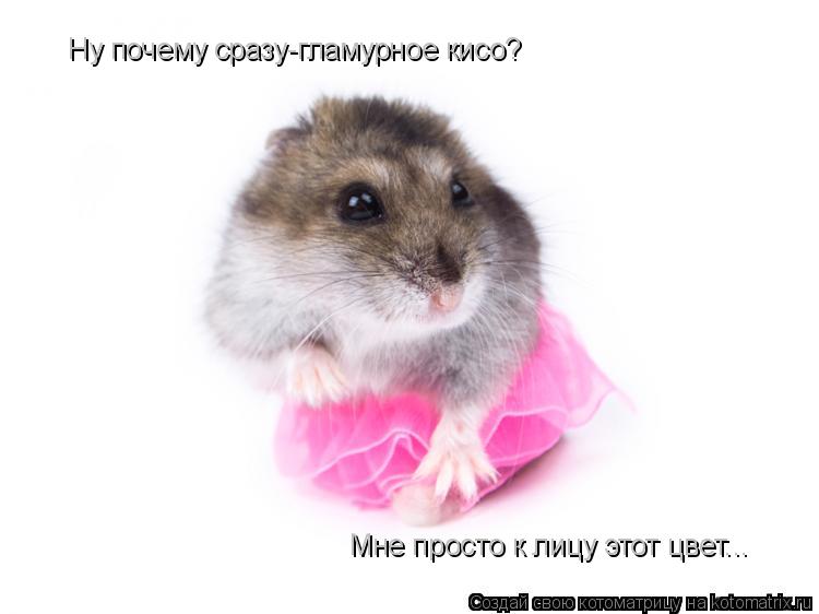 Ну почему сразу-гламурное кисо? Мне просто к лицу этот цвет...... Котоматрица: Ну почему сразу-гламурное кисо? Мне просто к лицу этот цвет...