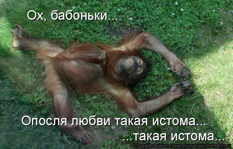 Котоматрица: Ох, бабоньки... Опосля любви такая истома...  ...такая истома...