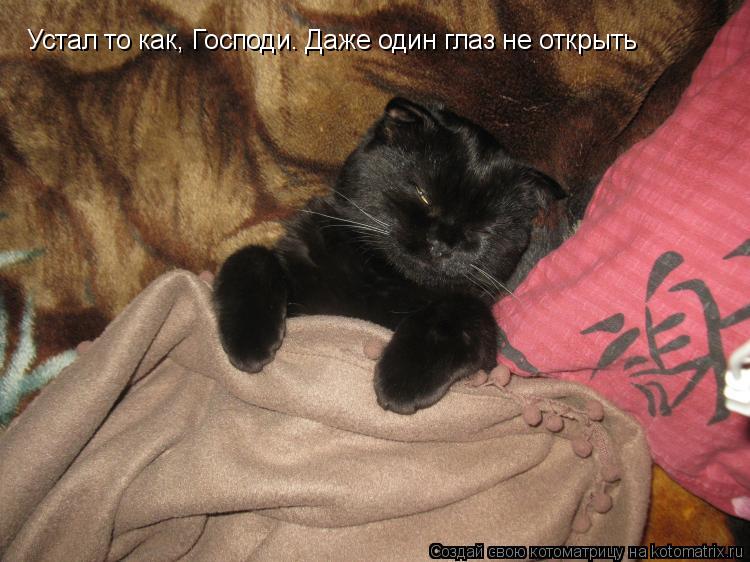 Устал то как, Господи. Даже один глаз не открыть... Котоматрица: Устал то как, Господи. Даже один глаз не открыть