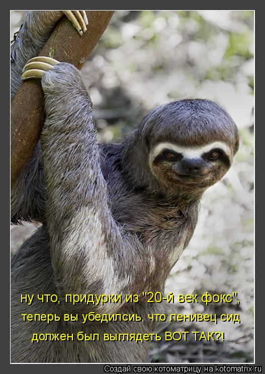 ну что, придурки из "20-й век фокс", теперь вы убедилсиь, что ленивец сид должен был выглядеть ВОТ Т... Котоматрица: ну что, придурки из "20-й век фокс", теперь вы убедилсиь, что ленивец сид должен был выглядеть ВОТ ТАК?!