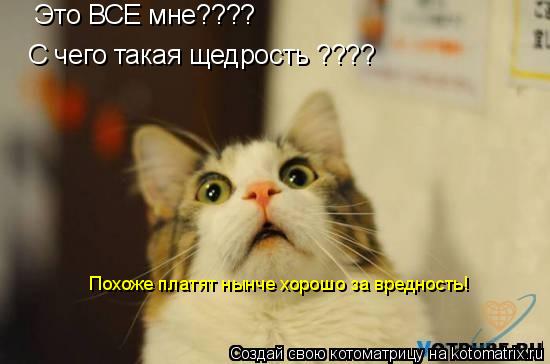 Котоматрица: Это ВСЕ мне???? С чего такая щедрость ???? Похоже платят нынче хорошо за вредность!