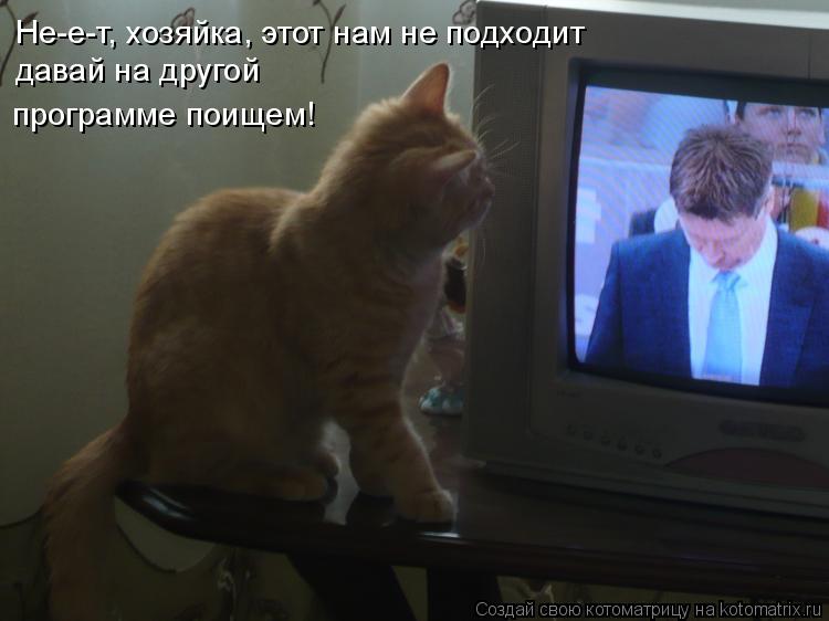 Котоматрица: Не-е-т, хозяйка, этот нам не подходит давай на другой программе поищем!