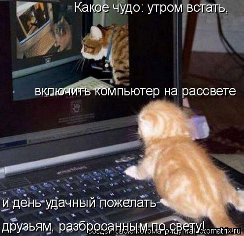Котоматрица: Какое чудо: утром встать,  включить компьютер на рассвете и день удачный пожелать  друзьям, разбросанным по свету!