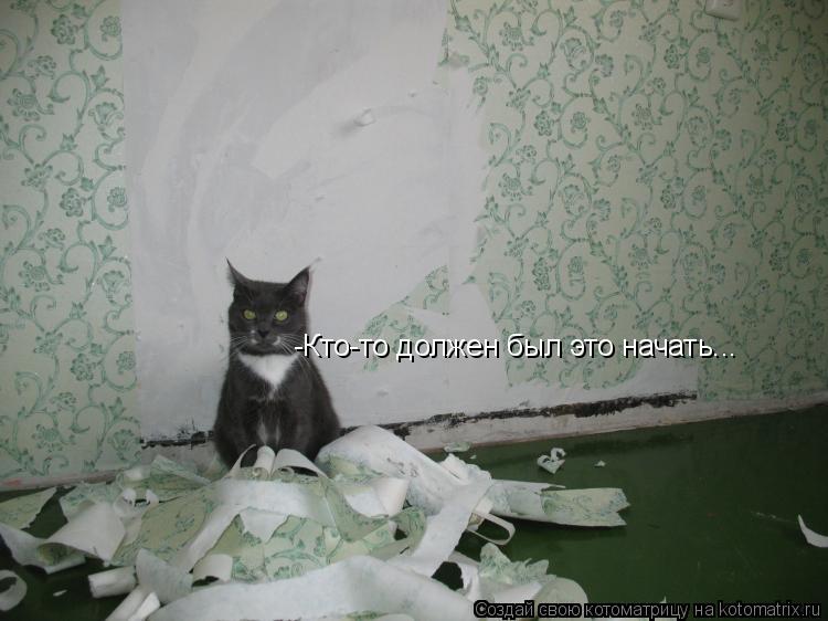 Котоматрица: -Кто-то должен был это начать...