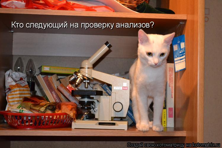 Котоматрица: Кто следующий на проверку анализов?