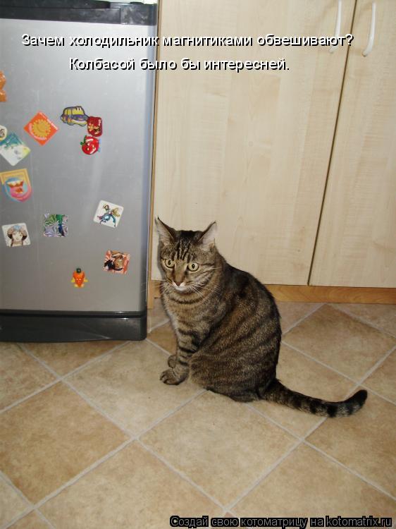 Котоматрица: Зачем холодильник магнитиками обвешивают? Колбасой было бы интересней.