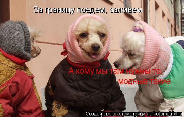 Котоматрица: За границу поедем, заживем А кому мы там нужны то, модные такие