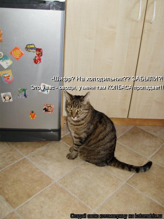 Котоматрица: -Шифр? На холодильник?? ЗАБЫЛИ?!  -Шифр? На холодильник?? ЗАБЫЛИ?!  Это у вас - овощи, у меня там КОЛБАСА пропадает!!!