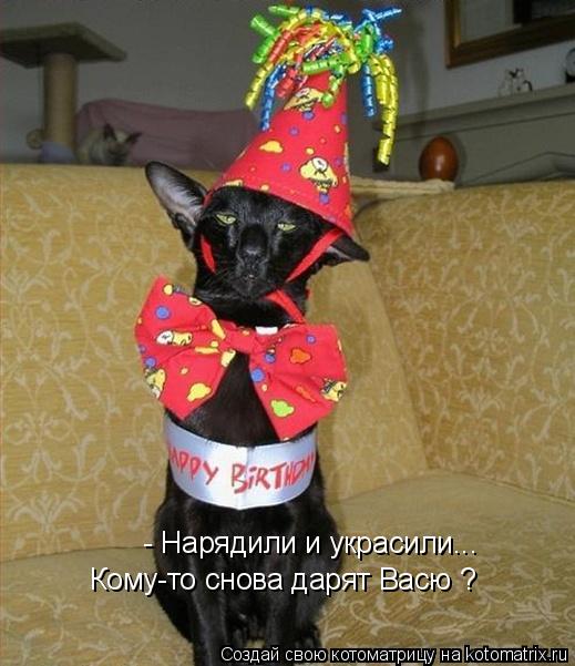 Котоматрица: - Нарядили и украсили... Кому-то снова дарят Васю ?