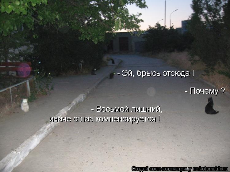 Котоматрица: - Эй, брысь отсюда ! - Почему ? - Восьмой лишний, иначе сглаз компенсируется !