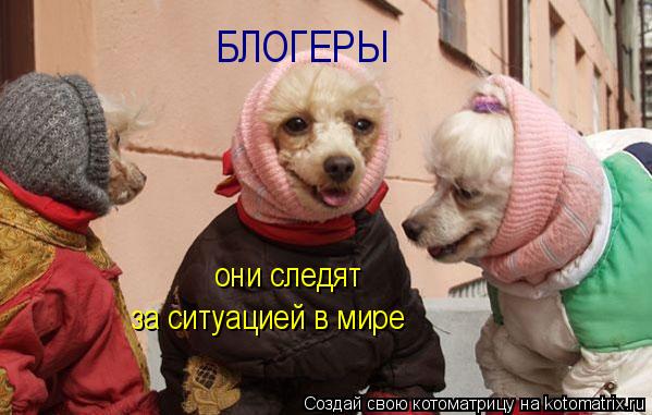 Котоматрица: БЛОГЕРЫ они следят за ситуацией в мире