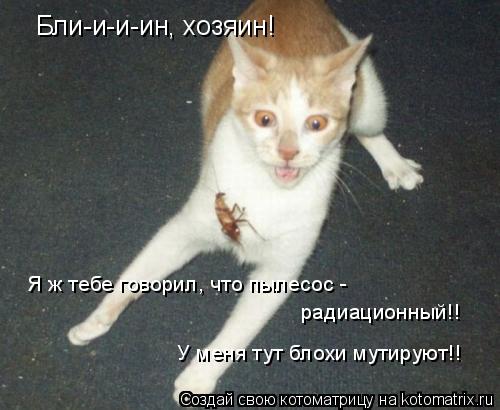 Котоматрица: Бли-и-и-ин, хозяин!  Я ж тебе говорил, что пылесос -  радиационный!! У меня тут блохи мутируют!!