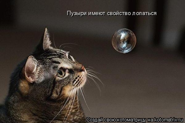 Котоматрица: Пузыри имеют свойство лопаться
