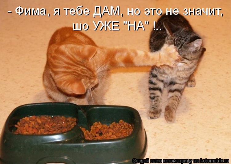Котоматрица: шо УЖЕ "НА" !.. - Фима, я тебе ДАМ, но это не значит,