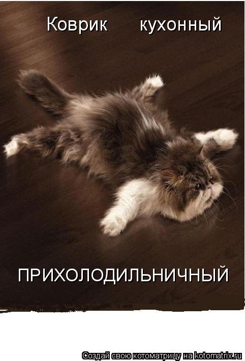 Коврик кухонный ПРИХОЛОДИЛЬНИЧНЫЙ... Котоматрица: Коврик кухонный ПРИХОЛОДИЛЬНИЧНЫЙ