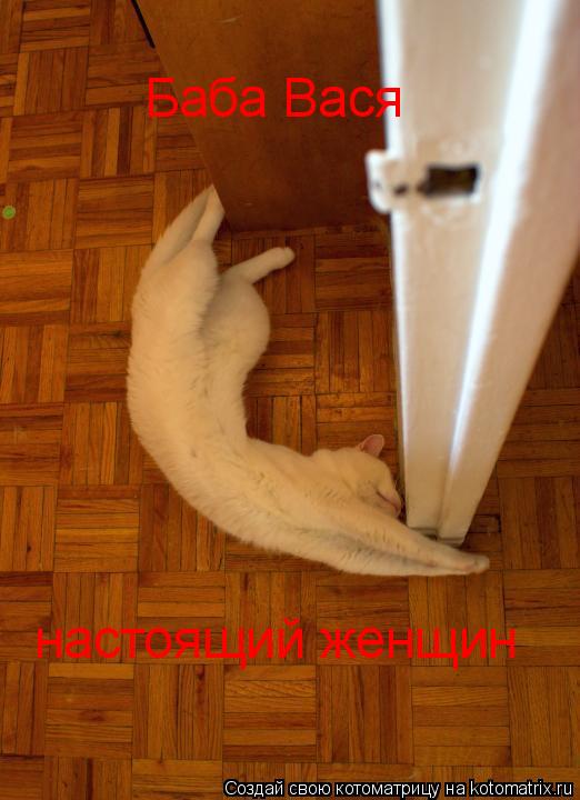 Баба Вася настоящий женщин... Котоматрица: Баба Вася настоящий женщин