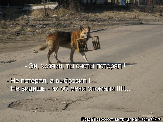 - Не потерял, а выбросил ! Не видишь - их об меня сломали !!!!.... - Эй, хозяин, ты счеты потерял !... Котоматрица: - Не потерял, а выбросил ! Не видишь - их об меня сломали !!!!.... - Эй, хозяин, ты счеты потерял !