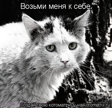 Возьми меня к себе.... Котоматрица: Возьми меня к себе.