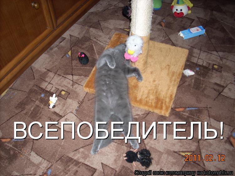Котоматрица: ВСЕПОБЕДИТЕЛЬ!