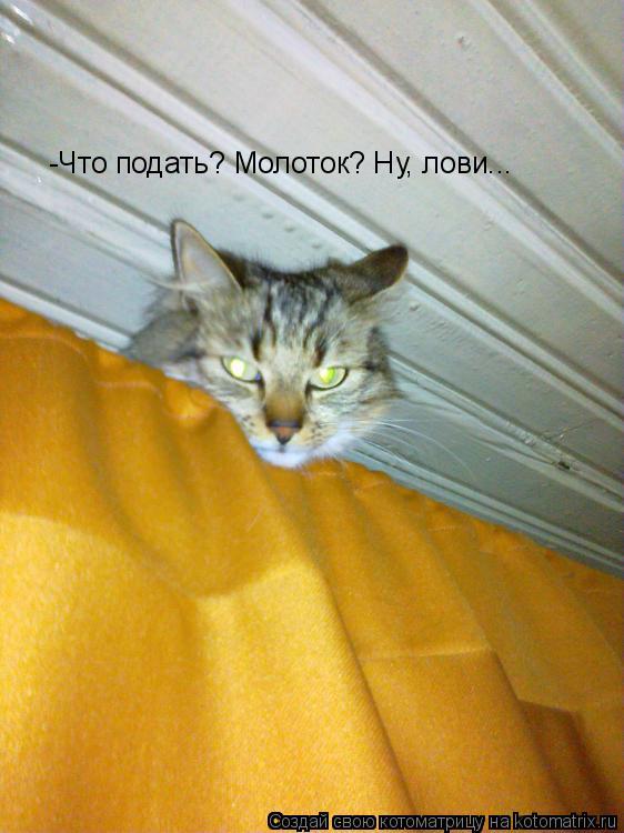 Котоматрица: -Что подать? Молоток? Ну, лови...