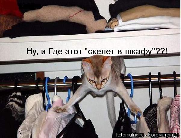 Котоматрица: Ну, и Где этот "скелет в шкафу"??!