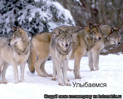 Котоматрица: Улыбаемся