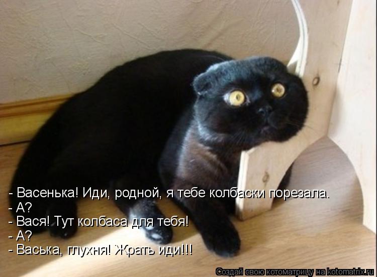 Котоматрица: - Васенька! Иди, родной, я тебе колбаски порезала. - А? - А? - Васька, глухня! Жрать иди!!! - Вася! Тут колбаса для тебя!