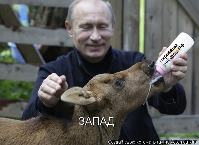 Котоматрица: ЗАПАД сырьевые ресурсы РФ