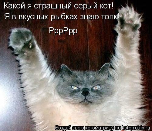 Котоматрица: Я в вкусных рыбках знаю толк!  РррРрр Какой я страшный серый кот!