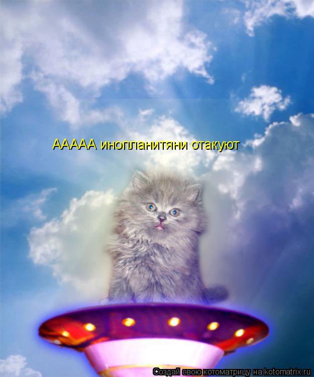 Котоматрица: ААААА инопланитяни отакуют