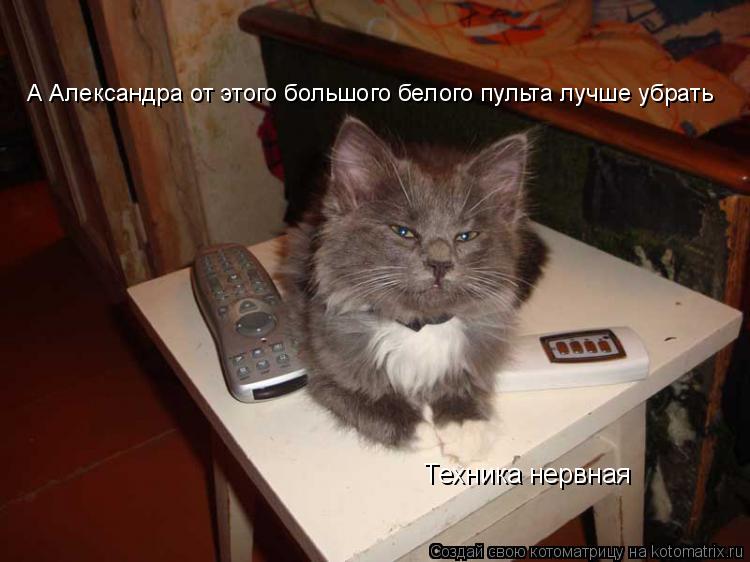 Котоматрица: Техника нервная А Александра от этого большого белого пульта лучше убрать
