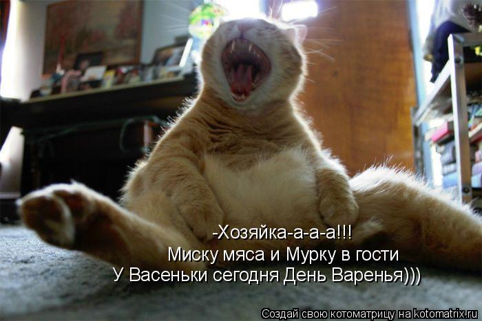 Котоматрица: -Хозяйка-а-а-а!!! Миску мяса и Мурку в гости У Васеньки сегодня День Варенья)))