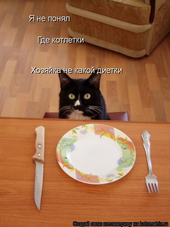 Котоматрица: Я не понял Где котлетки Хозяйка не какой диетки