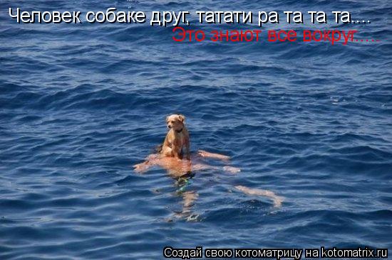 Котоматрица: Человек собаке друг, татати ра та та та.... Это знают все вокруг.....
