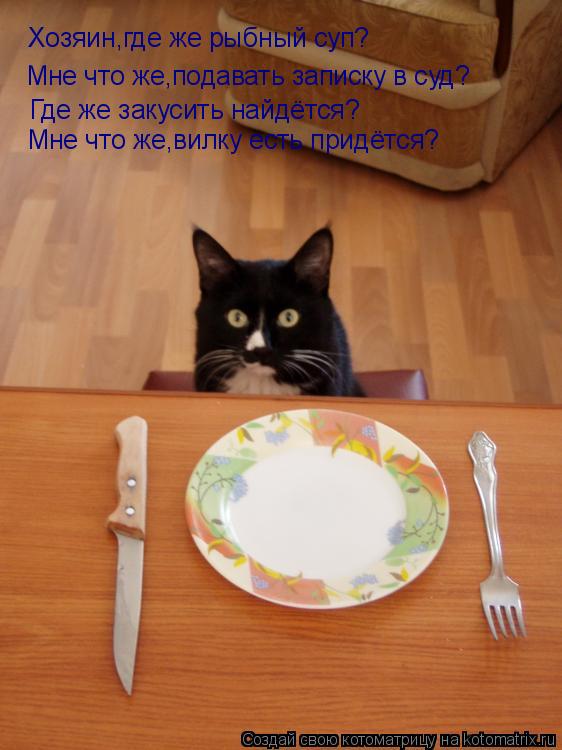 Котоматрица: Хозяин,где же рыбный суп? Мне что же,подавать записку в суд? Где же закусить найдётся? Мне что же,вилку есть придётся?