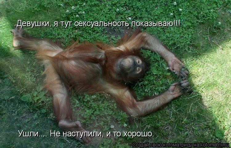 Котоматрица: Девушки, я тут сексуальность показываю!!! Ушли.... Не наступили, и то хорошо.