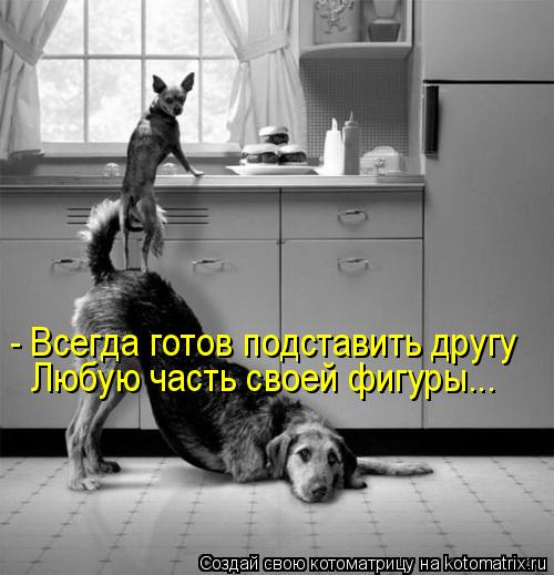 Котоматрица: - Всегда готов подставить другу Любую часть своей фигуры...