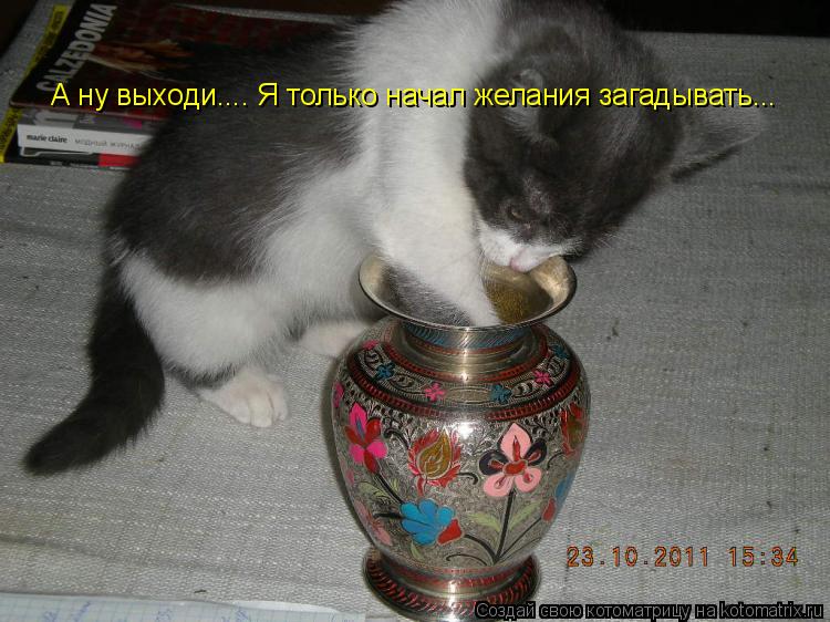 Котоматрица: А ну выходи.... Я только начал желания загадывать...