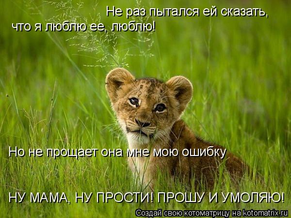 Котоматрица: Не раз пытался ей сказать, что я люблю ее, люблю! Но не прощает она мне мою ошибку НУ МАМА, НУ ПРОСТИ! ПРОШУ И УМОЛЯЮ!