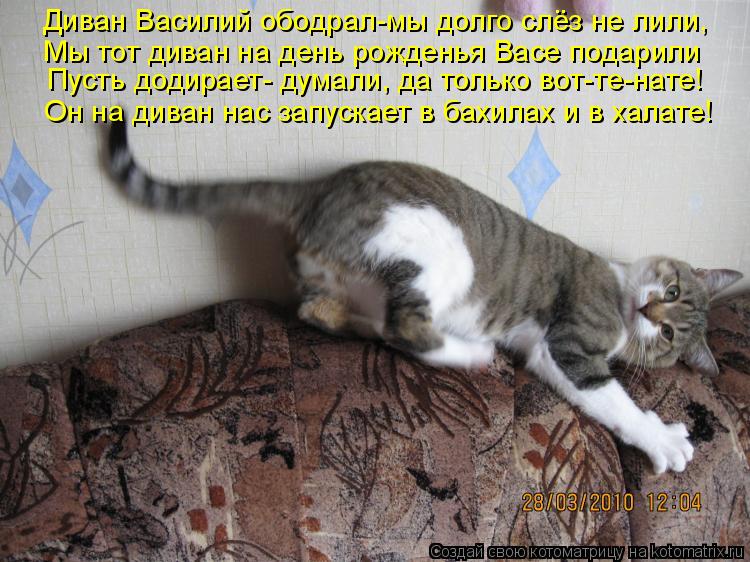 Диван Василий ободрал-мы долго слёз не лили, Мы тот диван на день рожденья Васе подарили Пусть додира... Котоматрица: Диван Василий ободрал-мы долго слёз не лили, Мы тот диван на день рожденья Васе подарили Пусть додирает- думали, да только вот-те-нате! Он на