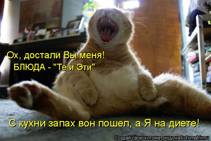 БЛЮДА - "Те и Эти" С кухни запах вон пошел, а Я на диете! Ох, достали Вы меня!... Котоматрица: БЛЮДА - "Те и Эти" С кухни запах вон пошел, а Я на диете! Ох, достали Вы меня!