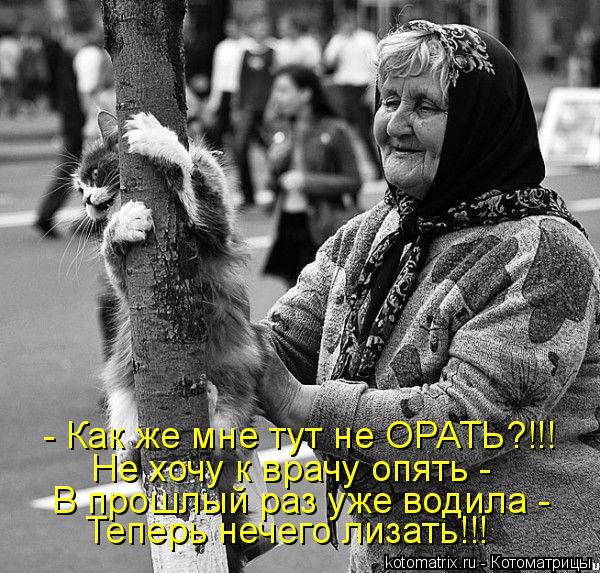 Котоматрица: - Как же мне тут не ОРАТЬ?!!! Не хочу к врачу опять -  В прошлый раз уже водила -  Теперь нечего лизать!!!