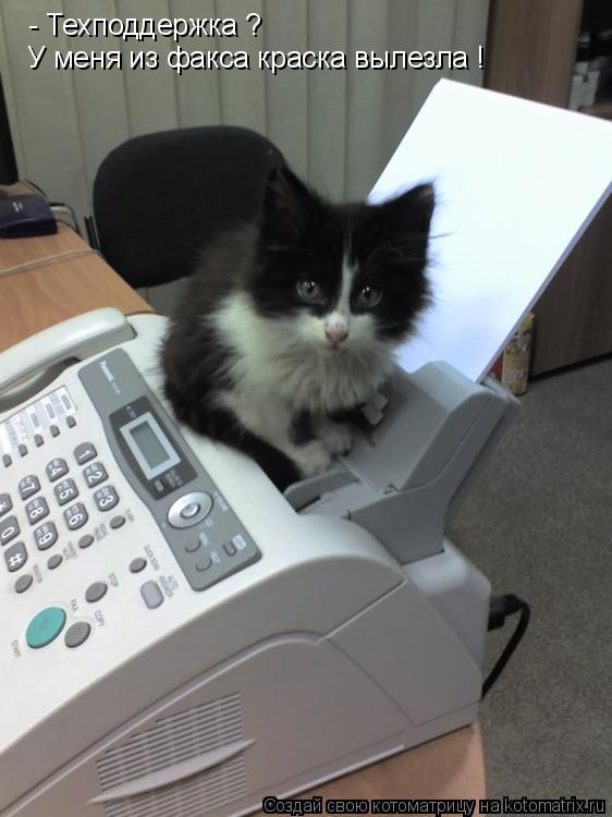 Котоматрица: - Техподдержка ? У меня из факса краска вылезла !