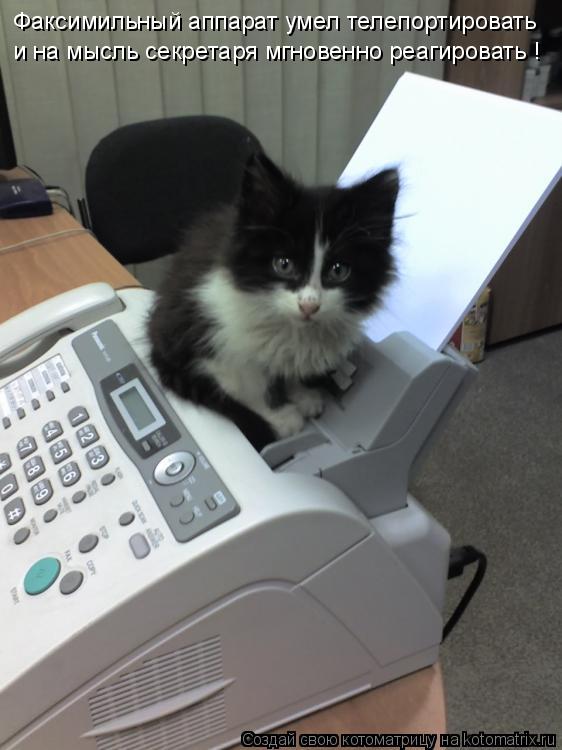 Котоматрица: Факсимильный аппарат умел телепортировать и на мысль секретаря мгновенно реагировать !