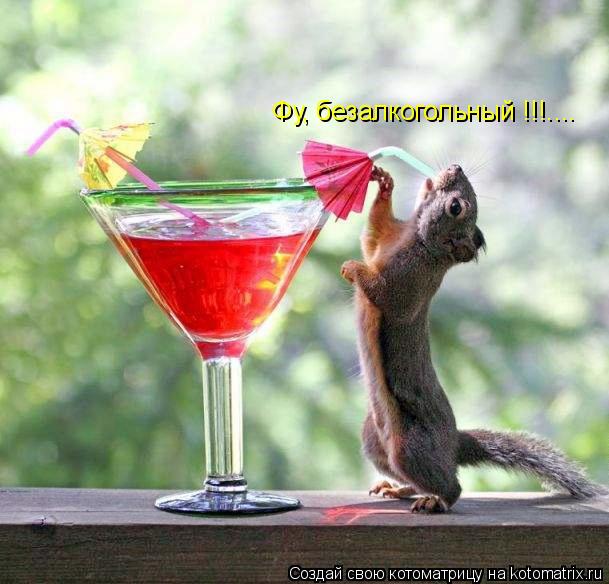 Котоматрица: Фу, безалкогольный !!!....