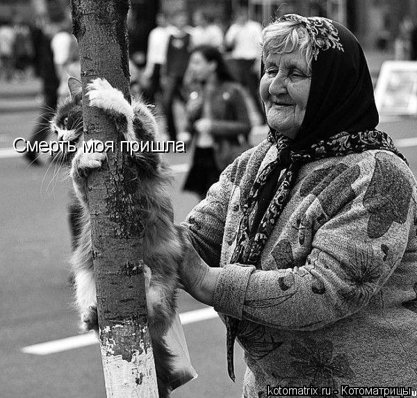 Котоматрица: Смерть моя пришла