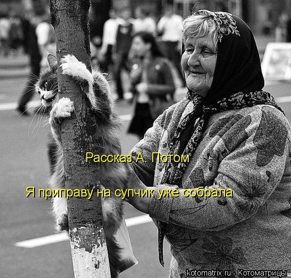 Котоматрица: Рассказ А. Потом Я приправу на супчик уже собрала